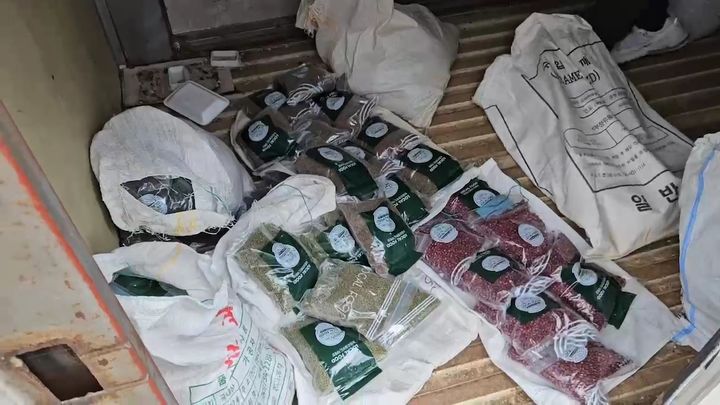 [대전=뉴시스] 농관원 원산지단속반이 지난 5일 충남 논산에 위치한 A씨 농가에 들러 원산지 거짓표시 위반 물품을 적발하고 있다. (사진=농산물품질관리원 제공) 2025.08.07. photo@newsis.com *재판매 및 DB 금지