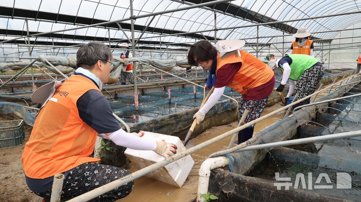 [과천=뉴시스] 신계용 시장(사진 가운데)이 수해복구 현장에서 구슬땀을 흘리고 있다. (사진=과천시 제공).2025.08.08.photo@newsis.com *재판매 및 DB 금지