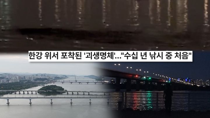 [서울=뉴시스] 8일 오후 8시50분 방송되는 SBS TV '궁금한 이야기 Y'가 한강에 나타난 괴물 괴담의 실체를 공개한다. (사진=SBS TV '궁금한 이야기 Y' 제공) 2025.08.08. photo@newsis.com *재판매 및 DB 금지