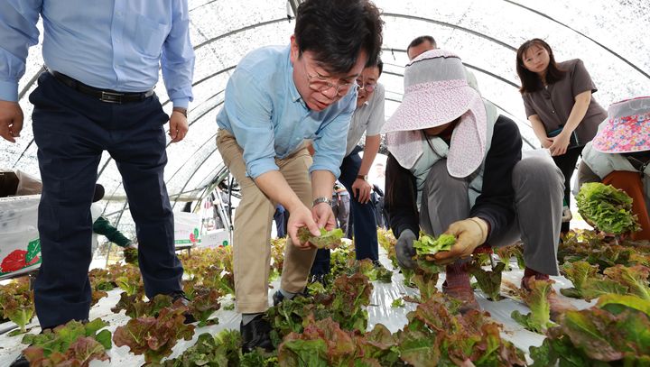 [서울=뉴시스] 김영훈 고용노동부 장관이 지난 8월 8일 전북 완주군의 외국인 고용 농가를 방문해 외국인 노동자와 대화하며 상추를 살펴보고 있다. (사진=고용노동부 제공) 2025.08.08. photo@newsis.com *재판매 및 DB 금지
