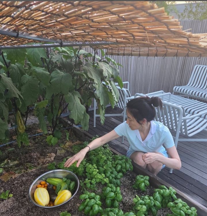 [서울=뉴시스] 이영애. (사진=이영애 인스타그램 캡처) 2025.08.08. photo@newsis.com *재판매 및 DB 금지