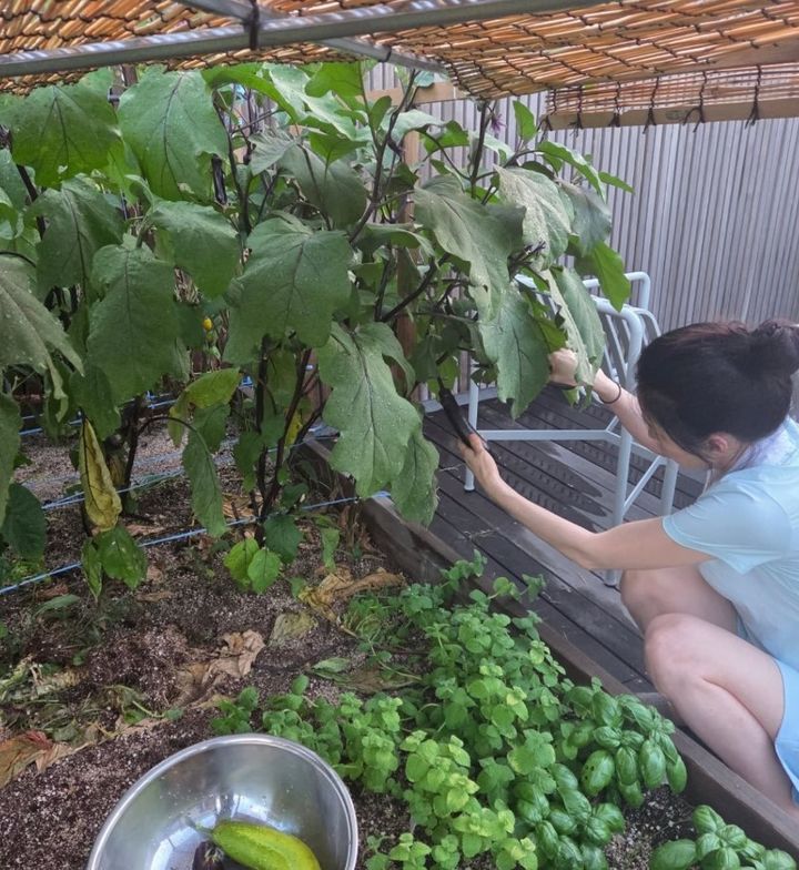 [서울=뉴시스] 이영애. (사진=이영애 인스타그램 캡처) 2025.08.08. photo@newsis.com *재판매 및 DB 금지