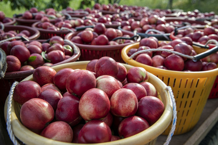[뉴시스] 기사의 이해를 돕기 위한 이미지. (사진=유토이미지). *재판매 및 DB 금지 *재판매 및 DB 금지