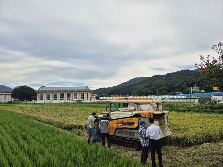 [거창=뉴시스] 거창군 남상면 올해 벼 첫 수확 (사진=거창군 제공) 2025. 08. 11. photo@newsis.com *재판매 및 DB 금지