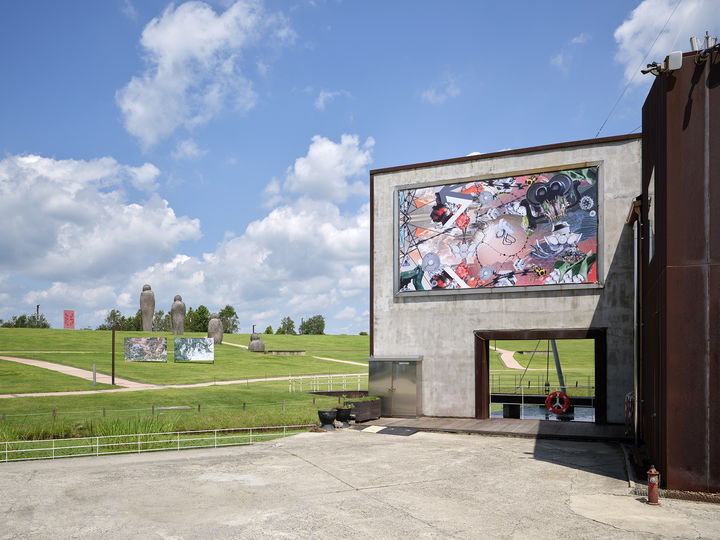 양혜규, 〈디엠지 비행〉, 2020/2025, , 천 위에 염료프린트 360×660cm, 그래픽 지원 유예나 작가 제공 한국 국 립현대미 술관의 커미션, 현대자동차 후원으로 제작 사진 이의 록 경기도-작가 제공 *재판매 및 DB 금지