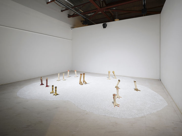 갤러리 그리브스에 선보인 홍영인, 학의 눈밭. 사진 아인아 아카이브. 리얼디엠지프로젝트 및 작가 제공 *재판매 및 DB 금지