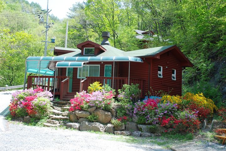 영동 민주지산 자연휴양림(사진=영동군 제공) *재판매 및 DB 금지