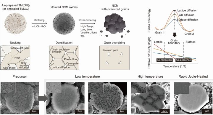 [울산=뉴시스] 구미현 기자 = 급속 가열 제조법을 적용한 대용량 배터리 소재의 미세 구조 photo@newsis.com *재판매 및 DB 금지