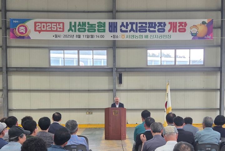 [울산=뉴시스] 울산 울주 서생농협(조합장 최남식)은 11일 구동지점에서 ‘배 산지 공판장 개장식’을 열고 올해 첫 수확한 ‘서생배’ 경매에 들어갔다고 밝혔다. (사진= 서생농협 제공) 2025.08.11.photo@newsis.com *재판매 및 DB 금지