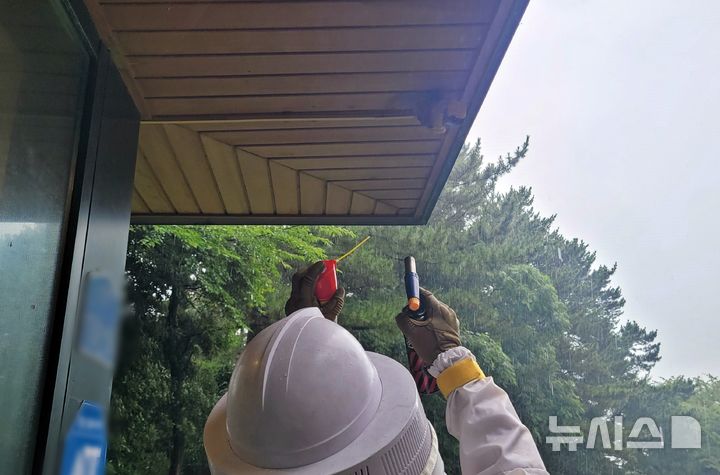 [제주=뉴시스] 11일 오전 제주시 오라동 소재 골프장에서 벌집이 발견돼 소방당국이 제거 작업을 벌이고 있다. (사진=제주소방안전본부 제공) 2025.08.11. photo@newsis.com
