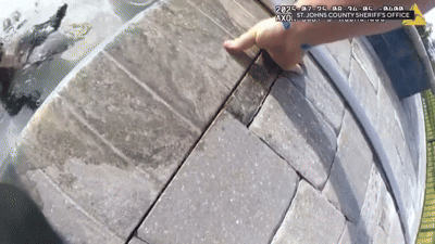 [뉴시스] 플로리다 주 북동쪽의 뒷마당 수영장에서 어린 악어가 발견됐다. 세인트존스 카운티 보안관 사무실의 부관 리처드슨이 출동했다. 2025.07.25. (사진=CBS 뉴스) *재판매 및 DB 금지