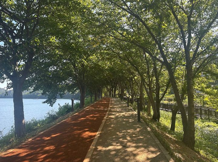 [부산=뉴시스] 부산 금정구는 회동수원지 상현마을 제방을 따라 길이 160m의 '여울생태숲 맨발 황톳길'을 조성했다. (사진=금정구 제공) 2025.08.11. photo@newsis.com *재판매 및 DB 금지