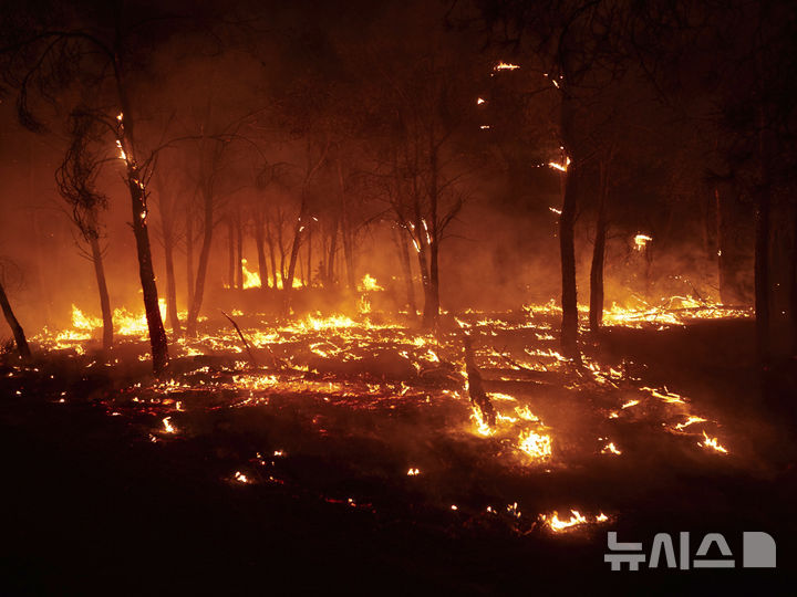 [AP/뉴시스] 지난 10일 스페인 북부 카스티요 산불 현장