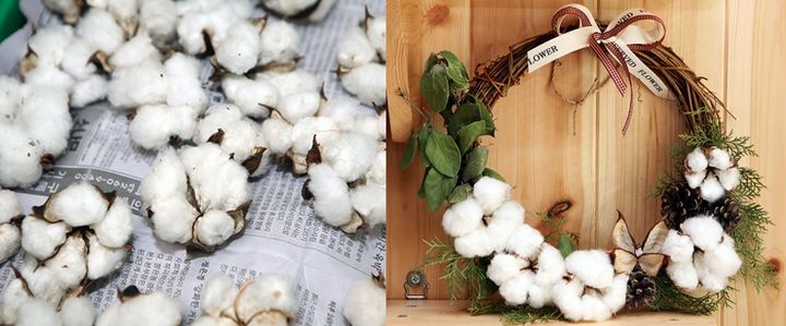 덕고마을 목화 만들기 체험. *재판매 및 DB 금지