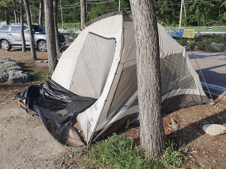 [뉴시스] 해변가에 무단으로 텐트를 설치해 장시간 좋은 자리를 독점하고 다른 이용객들의 접근을 막는 이른바 '텐트 알박기' 행태가 누리꾼들의 공분을 사고 있다. (사진=온라인 커뮤니티 캡처) 2025.08.12 *재판매 및 DB 금지