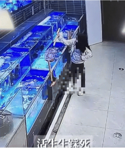 [뉴시스] 중국의 한 대형마트 수산 코너에서 한 여성이 활어를 꺼내 바닥에 내던진 뒤 발로 밟아 죽이는 황당 행각 영상이 공개돼 논란이 커지고 있다.(사진=홍성신문) *재판매 및 DB 금지