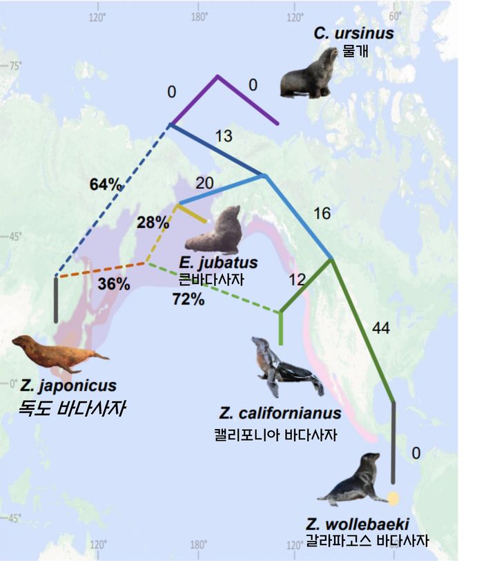 [부산=뉴시스] 독도바다사자와 물개류의 서식지와 진화도. (사진=국립수산과학원 제공) 2025.08.12. photo@newsis.com *재판매 및 DB 금지