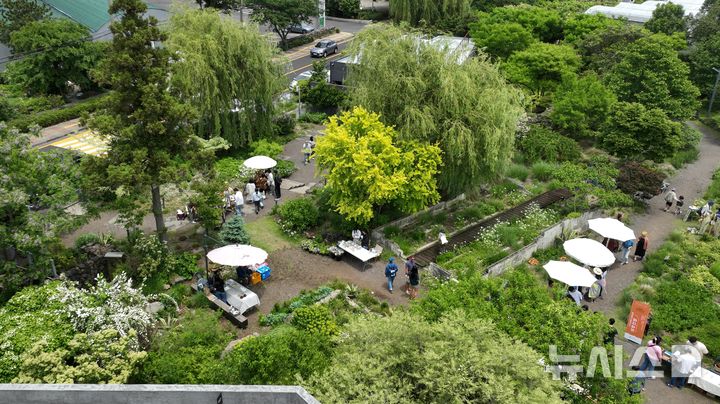 [제주=뉴시스] 제주관광공사는 오는 9월12일부터 13일까지 이틀간 도내 일원에서 '2025 Purple Festa in Jeju'를 개최한다. 9월12일 방탄소년단(BTS) 멤버가 TV 프로그램인 '핸썸가이즈'에 출연해 촬영한 곳으로 알려진 '베케 정원'에서 K-팝을 사랑하는 팬들을 위한 특별한 프로그램이 진행된다. 사진은 서귀포시에 위치한 '베케 정원' 모습. (사진=제주관광공사 제공) 2025.08.12. photo@newsis.com *재판매 및 DB 금지