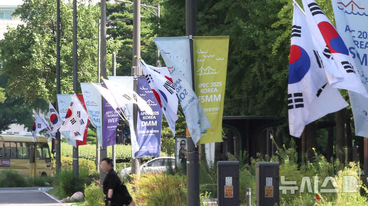 [인천=뉴시스] 전진환 기자 = 광복절을 3일 앞둔 12일 인천 남동구 구월동의 한 거리 가로등에 태극기가 걸려 있다. 2025.08.12. amin2@newsis.com