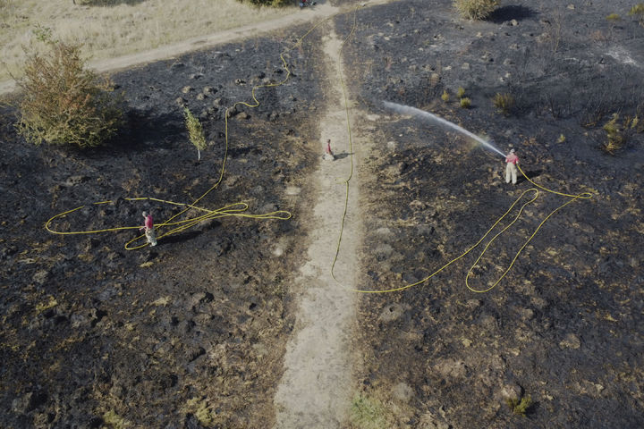 [런던=AP/뉴시스] 12일(현지 시간) 영국 런던 완스테드 플랫에서 산불이 발생해 소방대원들이 화재 진압을 하고 있다. 2025.08.13.