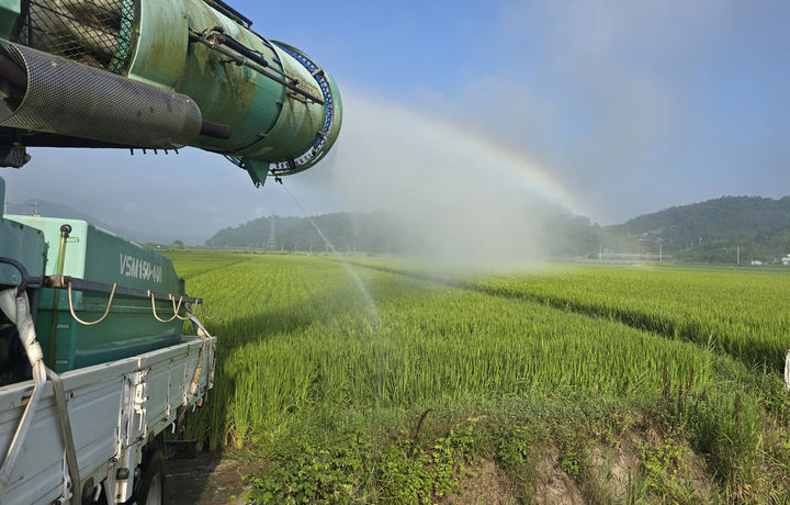 효과 떨어진 벼멸구 약제 5종 퇴출…농진청 "방제 성공률 높인다"