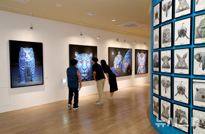 [괴산=뉴시스] 관람객들이 해설사로부터 전시 작품 설명을 듣고 있다 (사진= 괴산군 제공) 2025.08.13. photo@newsis.com *재판매 및 DB 금지