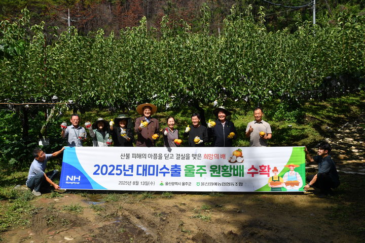 [울산=뉴시스] 울산 울주군은 13일 이순걸 울주군수와 관계 공무원이 참석한 가운데 온양읍 운화리의 노동열(69) 씨 과수원에서 올해 첫 햇배를 수확했다고 밝혔다. (사진= 울주군 제공) 2025.08.13.photo@newsis.com *재판매 및 DB 금지