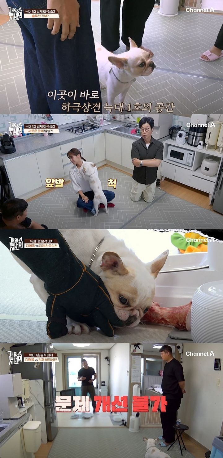 [서울=뉴시스] 지난 12일 방송한 채널A 예능 프로그램 '개와 늑대의 시간'에선 강형욱이 소유 공격성을 드러내는 반려견을 위한 훈련을 했다. (사진=채널A '개와 늑대의 시간' 캡처) 2025.08.13. photo@newsis.com *재판매 및 DB 금지