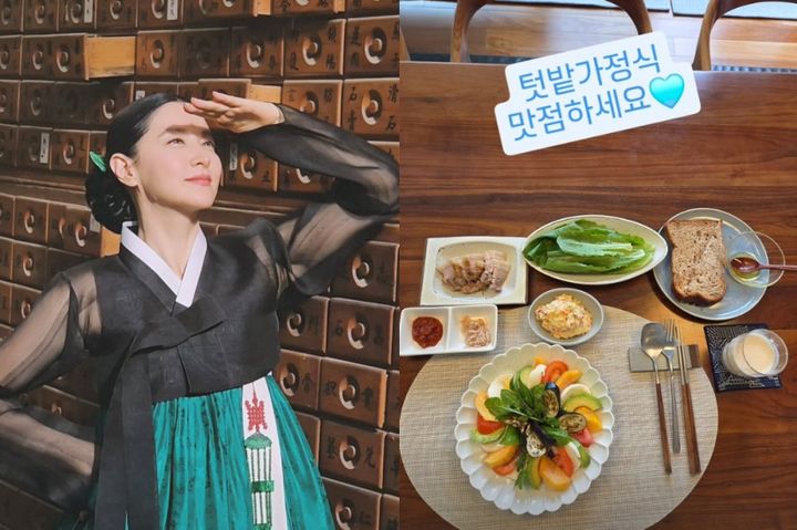 이영애의 놀라운 건강 비결! 직접 수확한 텃밭 채소와 손맛 가득한 밥상 공개
