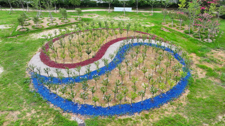 [광주=뉴시스] 산림청 주관 '제12회 나라꽃 무궁화 명소' 공모에서 장려상을 수상한 광주 광산구 쌍암근린공원 무궁화동산. (사진 = 광주 광산구 제공) 2025.08.13. photo@newsis.com *재판매 및 DB 금지