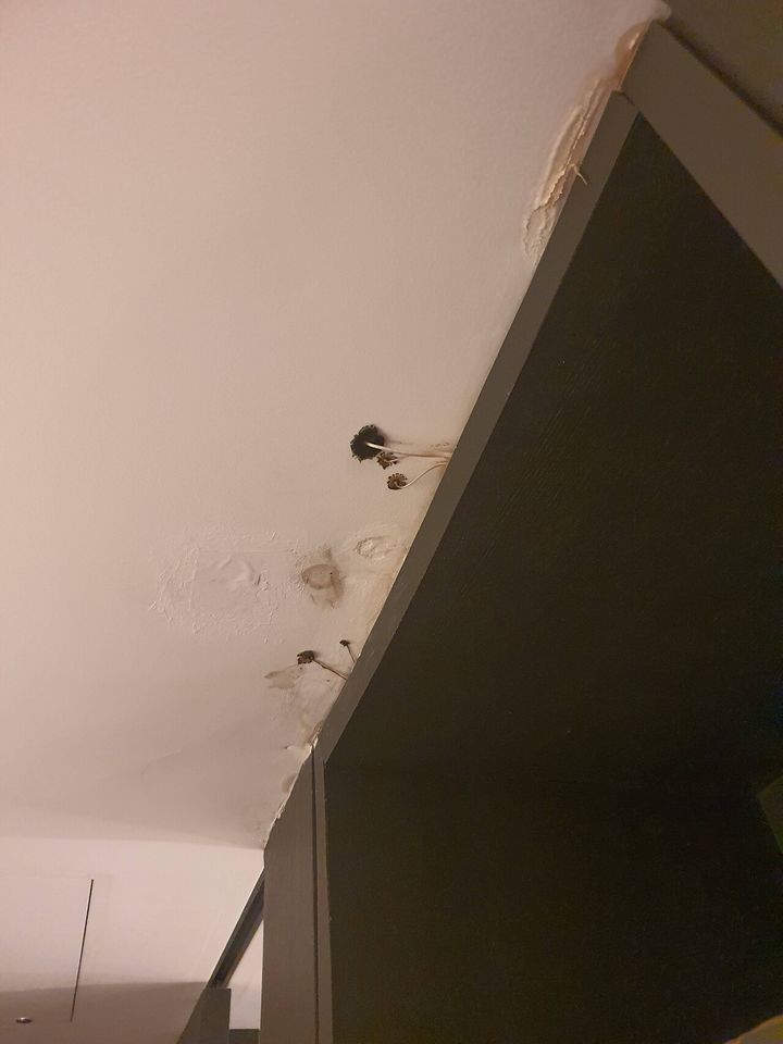 [뉴시스] (사진=블라인드 갈무리) *재판매 및 DB 금지