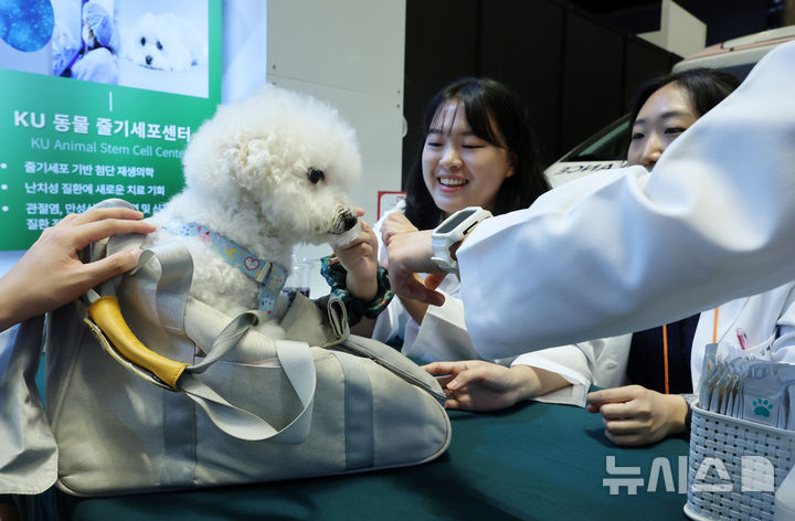 [서울=뉴시스] 이영환 기자 = 13일 오전 서울 강남구 코엑스에서 열린 2025 케이펫페어 건국대학교 동물병원 부스에서 반려견이 상담을 받고 있다. 2025.08.13. 20hwan@newsis.com