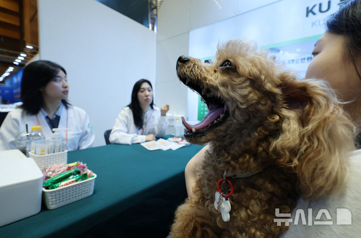 [서울=뉴시스] 이영환 기자 = 13일 오전 서울 강남구 코엑스에서 열린 2025 케이펫페어 건국대학교 동물병원 부스에서 반려견이 상담을 받으며 하품을 하고 있다. 2025.08.13. 20hwan@newsis.com