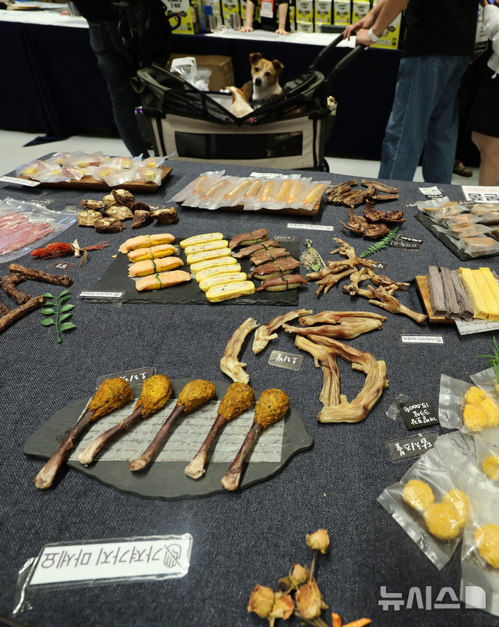 [서울=뉴시스] 이영환 기자 = 13일 오전 서울 강남구 코엑스에서 열린 2025 케이펫페어에서 반려견 간식이 판매되고 있다. 2025.08.13. 20hwan@newsis.com