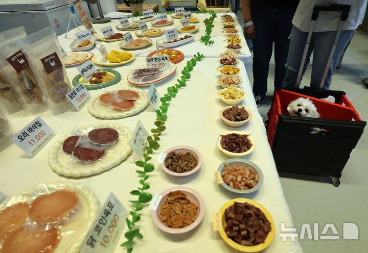 [서울=뉴시스] 이영환 기자 = 13일 오전 서울 강남구 코엑스에서 열린 2025 케이펫페어에서 한 반려견이 간식을 바라보고 있다. 2025.08.13. 20hwan@newsis.com