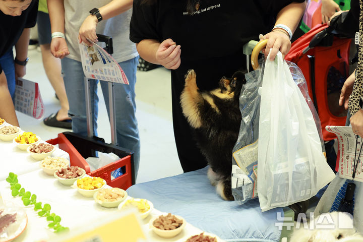 [서울=뉴시스] 이영환 기자 = 13일 오전 서울 강남구 코엑스에서 열린 2025 케이펫페어에서 한 반려견이 주인에게 간식을 요청하고 있다. 2025.08.13. 20hwan@newsis.com