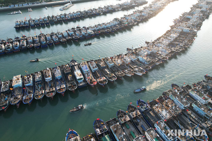 [샤먼=신화/뉴시스] 12일(현지 시간) 중국 푸젠성 샤먼항에 선박들이 제11호 태풍 '버들'의 접근에 대비해 정박해 있다. 2025.08.14.