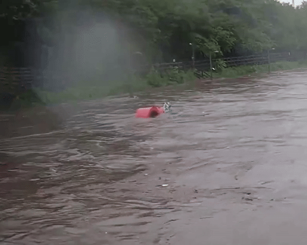[서울=뉴시스] 강북구 우이천 산책로의 모습. (사진 = @serinepi 엑스 갈무리) 2025.08.14. *재판매 및 DB 금지