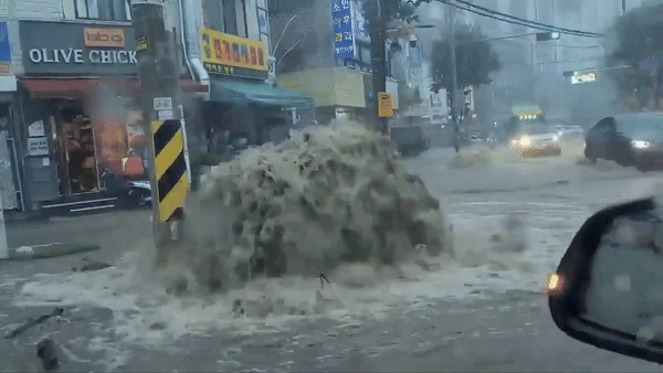 [서울=뉴시스] 은평구 불광동의 모습. (사진 = @junssi1982 엑스 갈무리) 2025.08.14. *재판매 및 DB 금지
