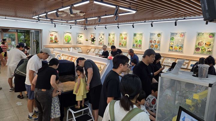 구리시 곤충생태관 '과학곤충 특별전'. (사진=구리시 제공) photo@newsis.com *재판매 및 DB 금지