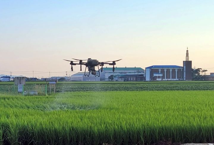 김제시, 벼 병해충 종합방제 당부…"출수기 전후 철저 관리"