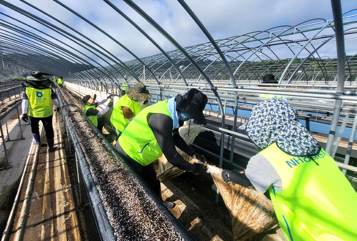 [창원=뉴시스]경남농협, 산청군에서 합동 집중호우 수해복구.(사진=경남농협 제공) 2025.08.14.photo@newsis.com *재판매 및 DB 금지