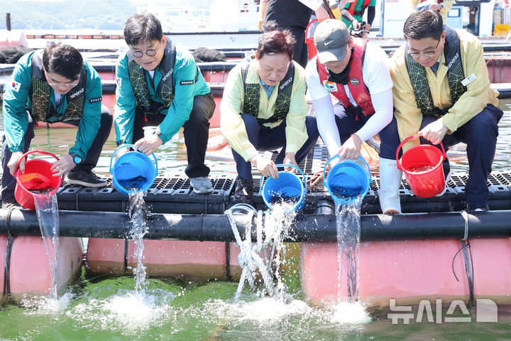 [거제=뉴시스]박완수(가운데) 경남도지사가 14일 고수온 대응 현장 점검을 위해 거제시 거제면 해상 가두리양식장을 찾아 고수온 취약어종을 방류하고 있다.(사진=경남도 제공) 2025.08.14. photo@newsis.com