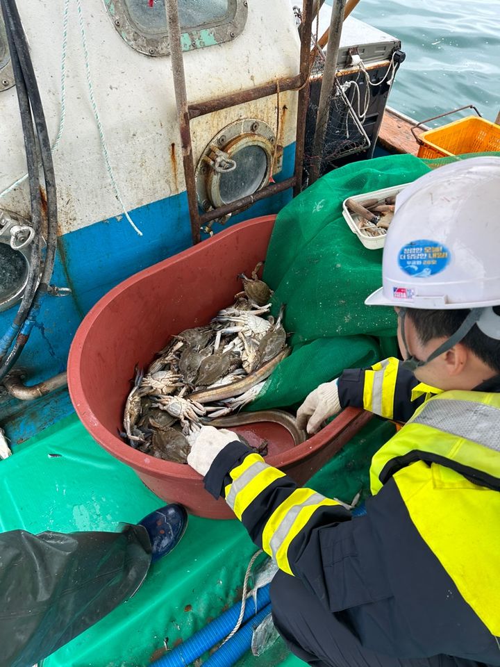 [고흥=뉴시스] 어업감독 공무원이 어선에 올라 금어기 위반 여부를 조사하고 있다. (사진=남해어업관리단 제공) 2025.08.14. photo@newsis.com *재판매 및 DB 금지