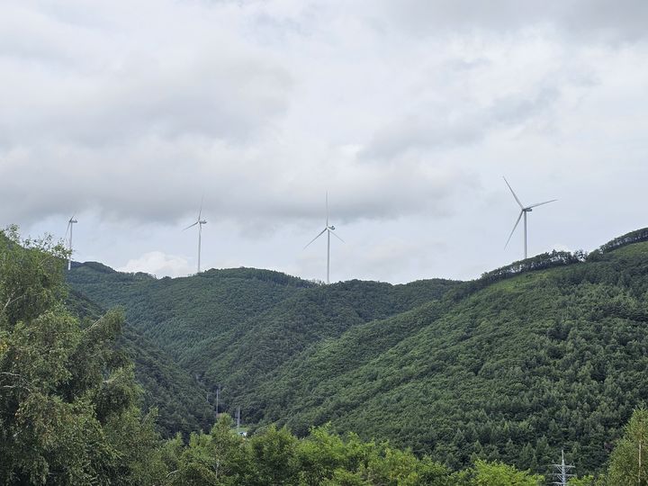 [태백=뉴시스] 여동준 기자 = 태백 가덕산 풍력단지 모습. 2025.08.17. yeodj@newsis.com *재판매 및 DB 금지