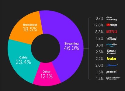 [서울=뉴시스] 올해 6월 플랫폼별 TV 시청률 (사진=닐슨 홈페이지 갈무리) 25.08.16. photo@newsis.com *재판매 및 DB 금지