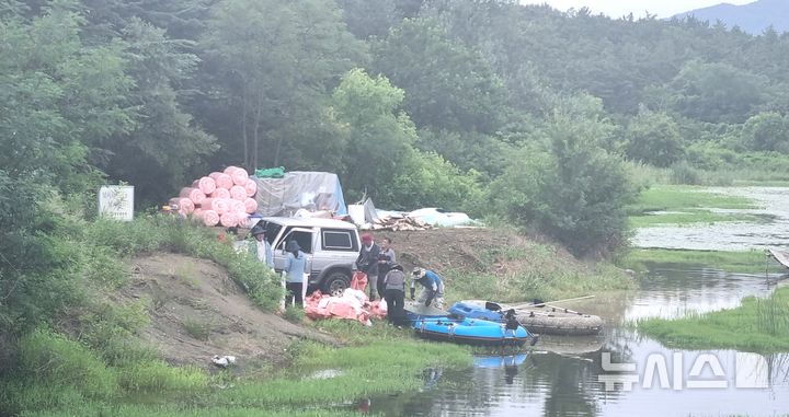 영천 청저수지 집단폐사 물고기 수거 작업 현장