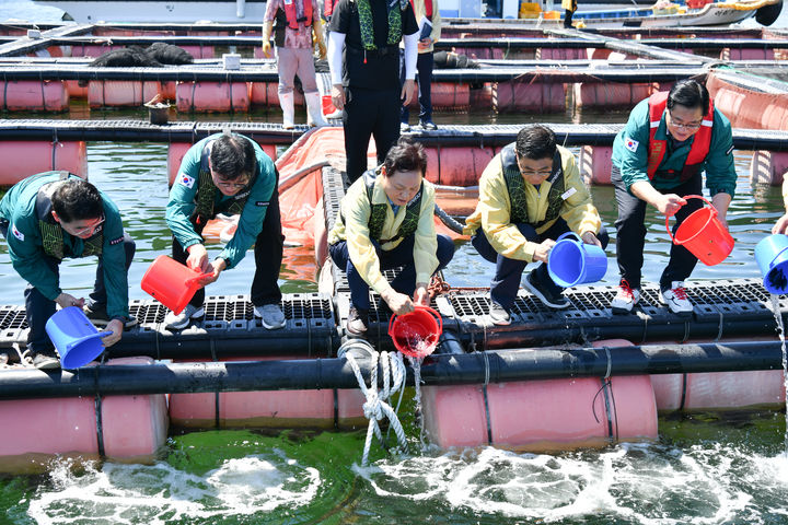 [거제=뉴시스] 신정철 기자= 거제시는 14일, 박완수 경남도지사, 전기풍·정수만 경남도의원, 민기식 거제시 부시장을 비롯한 도·시 관계자 등이 참석한 가운데 거제면 법동리 해상가두리에서 말쥐치 치어(어린고기) 10만 마리를 긴급 방류했다.(사진=거제시 제공).2025.08.14. photo@newsis.com *재판매 및 DB 금지