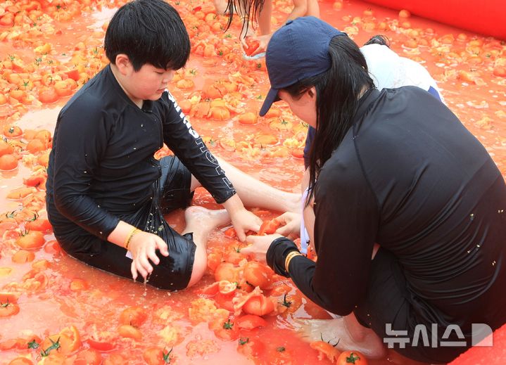 [횡성=뉴시스] 이덕화 기자 = 14일 강원 횡성군 대표 여름축제인 '둔내고랭지토마토축제'가 개막한 가운데 축제장을 찾은 관광객들이 '황금반지'를 찾기 위해 토마토풀장에서 즐거운 시간을 보내고 있다. 2025.08.14. wonder8768@newsis.com