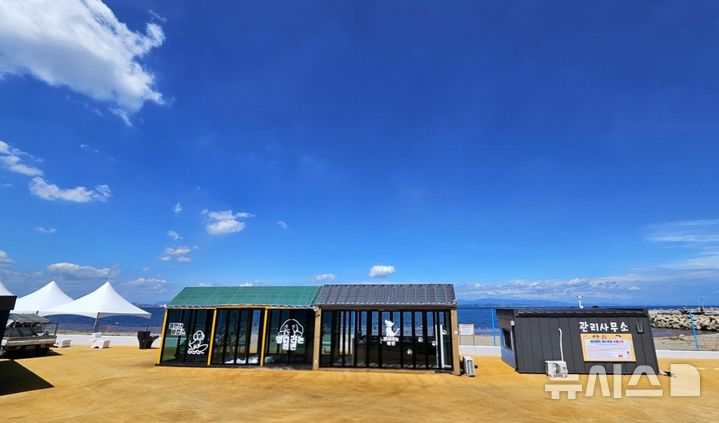 [포항=뉴시스] 송종욱 기자 = 경북 포항시에 반려견과 함께 즐길 수 있는 '흥환 애견 동반 해수욕장'이 처음 개장했다. 사진은 지난 15일에 개장한 남구 동해면 호미로 '흥환 애견 동반 해수욕장' 전경. (사진=포항시 제공) 2025.08.17. photo@newsis.com